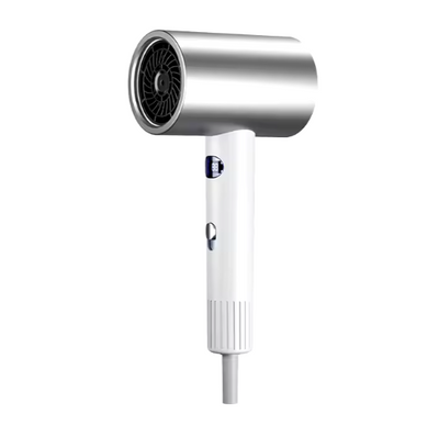 Ionic Hair Dryer Wish2Cart