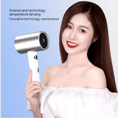 Ionic Hair Dryer Wish2Cart